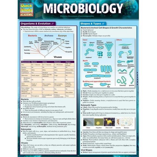 Barcharts Publishing BarCharts Publishing 9781423233190 Microbiology Guide in English 9781423233190